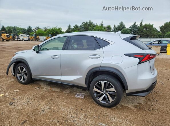 JTJBARBZ7K2197307 2019 LEXUS NX Silver Հետևի ձախ