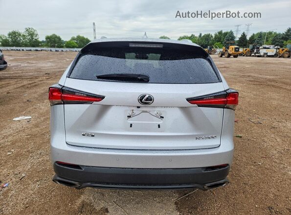 JTJBARBZ7K2197307 2019 LEXUS NX Silver Հետևի տեսք