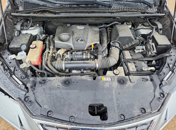JTJBARBZ7K2197307 2019 LEXUS NX Silver Սալոնի հետևի տեսք