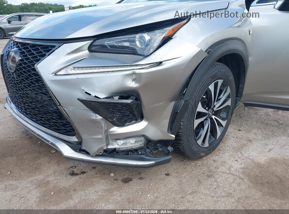 JTJBARBZ7K2211965 2019 LEXUS NX 300 Серебряный Вид спереди