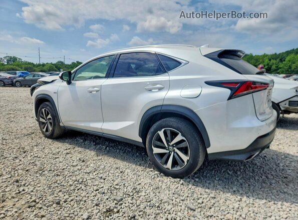 JTJBARBZ8J2165674 2018 LEXUS NX White Tył lewy