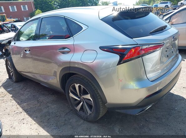 JTJBARBZ8K2184548 2019 LEXUS NX 300 Silver Задня ліва чверть