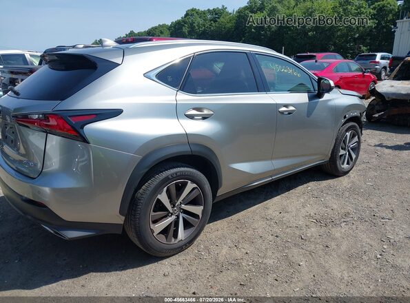 JTJBARBZ8K2184548 2019 LEXUS NX 300 Silver Задня права чверть