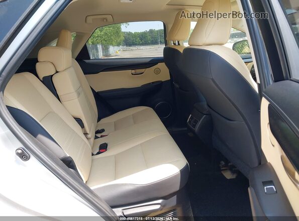 JTJBARBZ8K2196991 2019 LEXUS NX 300 Silver Vista de la etiqueta del VIN