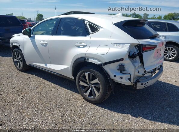 JTJBARBZ8K2197588 2019 LEXUS NX 300 White Задня ліва чверть