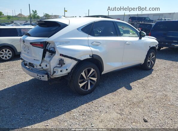 JTJBARBZ8K2197588 2019 LEXUS NX 300 White Задня права чверть