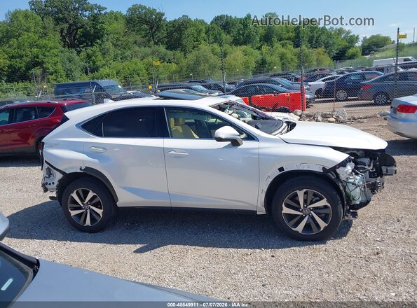 JTJBARBZ8K2197588 2019 LEXUS NX 300 White Панорамний вид салону 360°