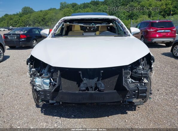 JTJBARBZ8K2197588 2019 LEXUS NX 300 White Вид задньої частини салону