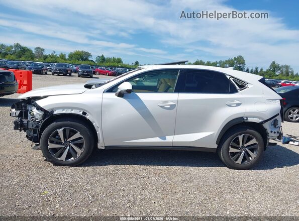 JTJBARBZ8K2197588 2019 LEXUS NX 300 White 