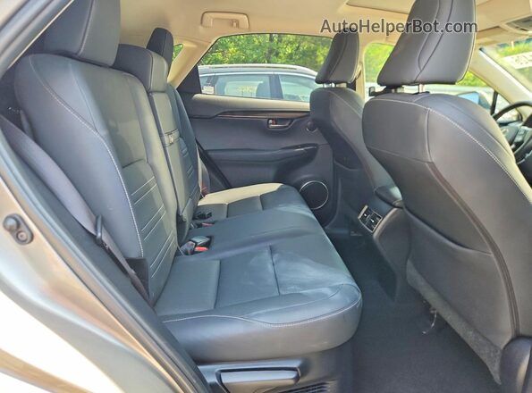 JTJBARBZ8K2205365 2019 LEXUS NX Серебряный Вид задней части салона
