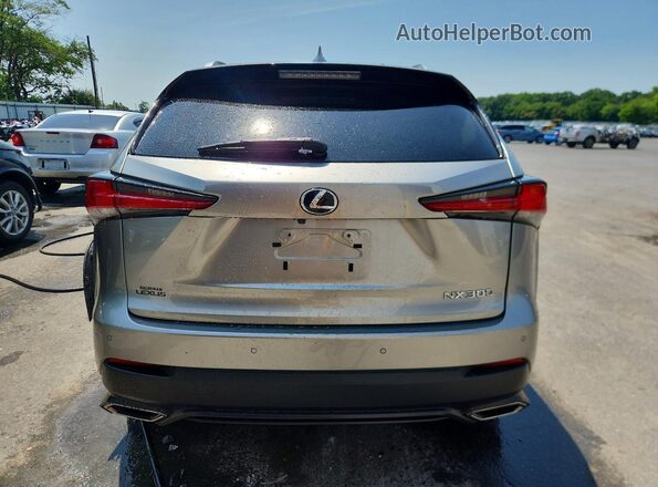 JTJBARBZ8K2205365 2019 LEXUS NX Серебряный Вид сзади