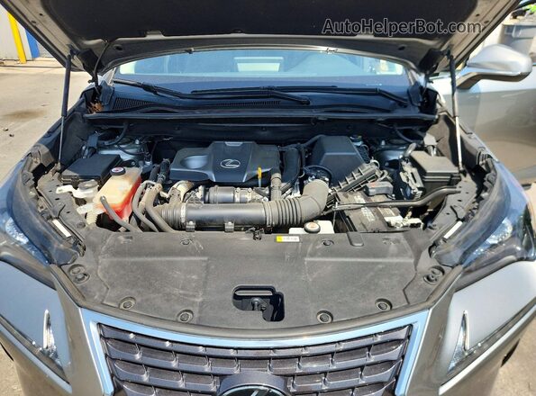 JTJBARBZ8K2205365 2019 LEXUS NX Серебряный Вид подкапотного пространства