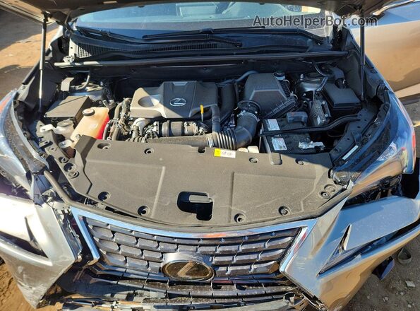 JTJBARBZ9K2179388 2019 LEXUS NX Серебряный Вид задней части салона