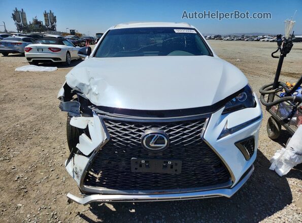 JTJBARBZXK2196085 2019 LEXUS NX Белый Вид спереди