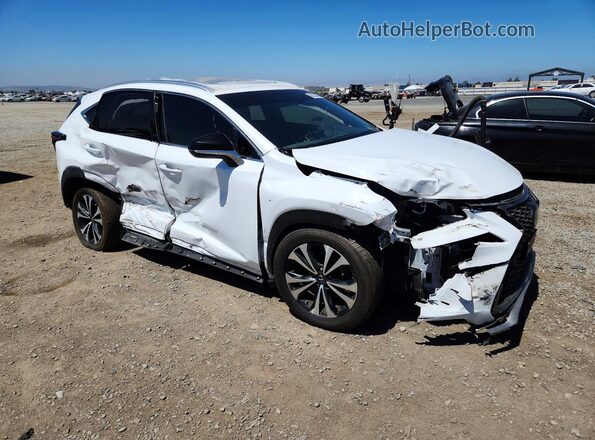 JTJBARBZXK2196085 2019 LEXUS NX Белый Передняя правая четверть