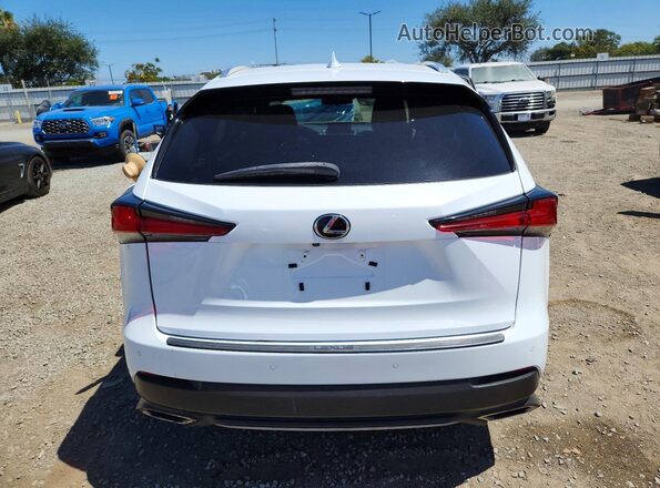 JTJBARBZXK2196085 2019 LEXUS NX Белый Вид сзади
