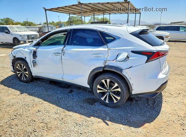 JTJBARBZXK2196085 2019 LEXUS NX Белый Задняя левая четверть