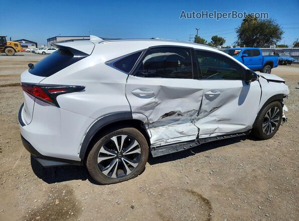 JTJBARBZXK2196085 2019 LEXUS NX Белый Задняя правая четверть