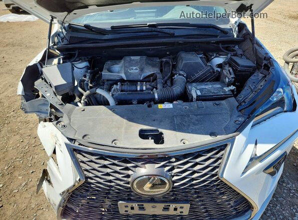 JTJBARBZXK2196085 2019 LEXUS NX Белый Вид задней части салона