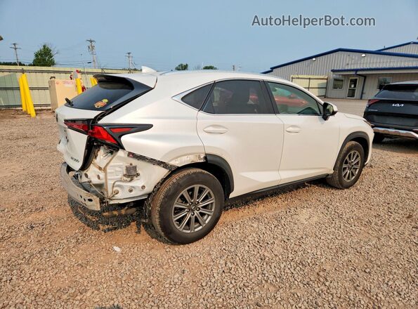 JTJBARBZXK2210163 2019 LEXUS NX Белый Задняя правая четверть