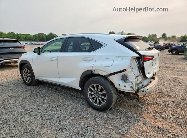 JTJBARBZXK2210163 2019 LEXUS NX Белый Задняя левая четверть