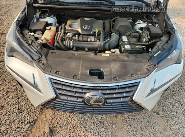 JTJBARBZXK2210163 2019 LEXUS NX Белый Вид подкапотного пространства
