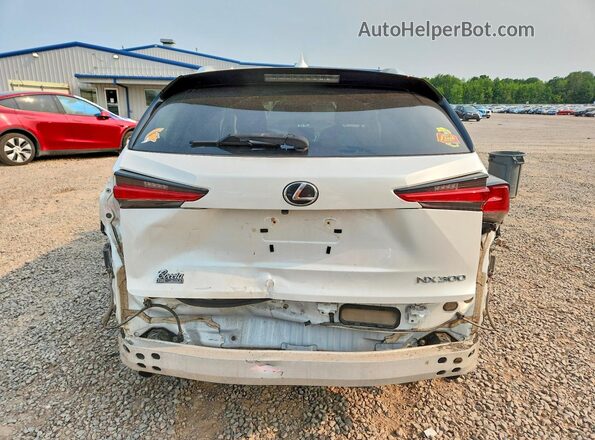 JTJBARBZXK2210163 2019 LEXUS NX Белый Вид сзади