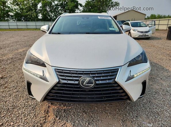 JTJBARBZXK2210163 2019 LEXUS NX Белый Вид спереди