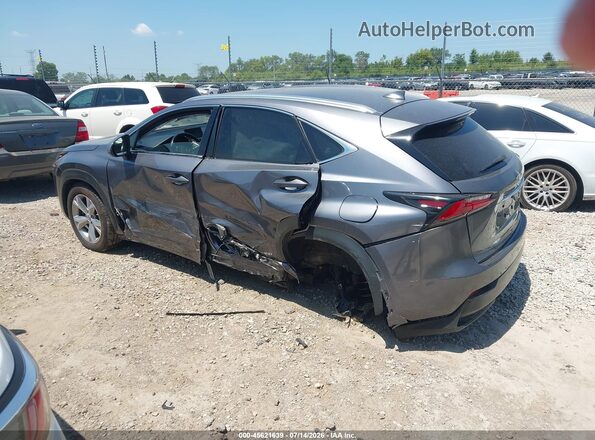JTJBJRBZ1H2068925 2017 LEXUS NX 300H Gray უკანა მარცხენა