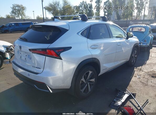 JTJBJRBZ1J2075699 2018 LEXUS NX 300H White Հետևի աջ