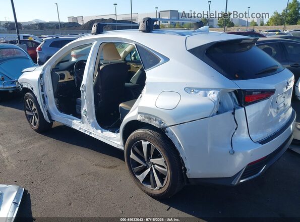 JTJBJRBZ1J2075699 2018 LEXUS NX 300H White Հետևի ձախ