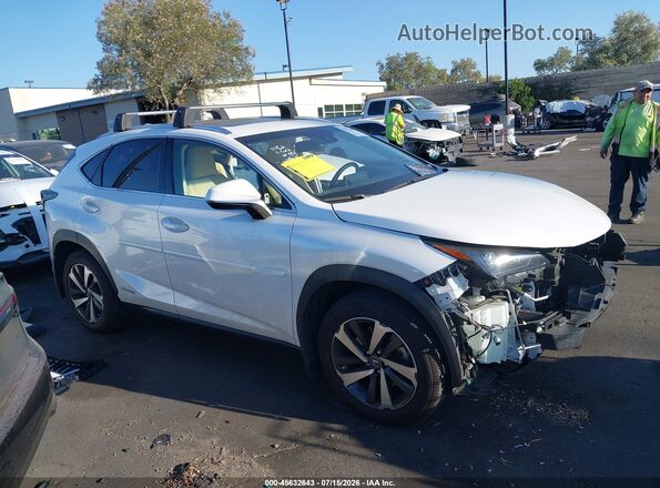 JTJBJRBZ1J2075699 2018 LEXUS NX 300H White Սալոնի 360 աստիճան տեսք
