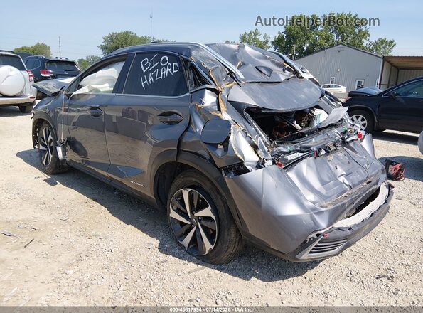 JTJBJRBZ1J2093829 2018 LEXUS NX 300H Gray Հետևի ձախ