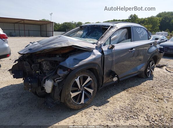 JTJBJRBZ1J2093829 2018 LEXUS NX 300H Gray Առջևի ձախ երեք քառորդ տեսարան