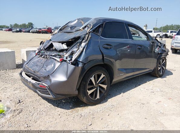 JTJBJRBZ1J2093829 2018 LEXUS NX 300H Gray Հետևի աջ