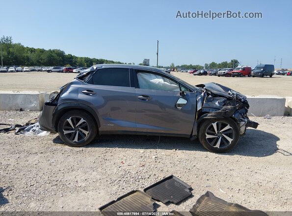 JTJBJRBZ1J2093829 2018 LEXUS NX 300H Gray Սալոնի հետևի տեսք