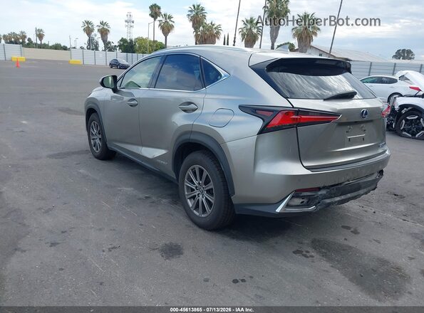 JTJBJRBZ1K2122800 2019 LEXUS NX 300H Gray Задня ліва чверть