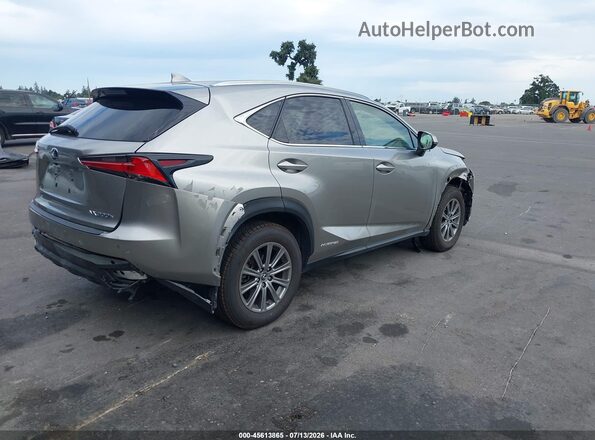 JTJBJRBZ1K2122800 2019 LEXUS NX 300H Gray Задня права чверть