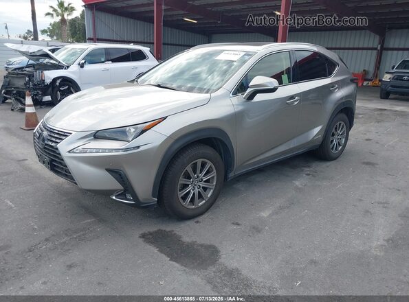 JTJBJRBZ1K2122800 2019 LEXUS NX 300H Gray Передня ліва чверть