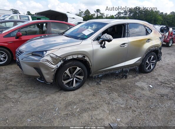 JTJBJRBZ2K2110638 2019 LEXUS NX 300H Серый Передняя левая четверть