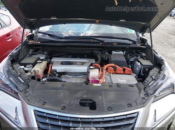 JTJBJRBZ2K2110638 2019 LEXUS NX 300H Серый Вид сзади