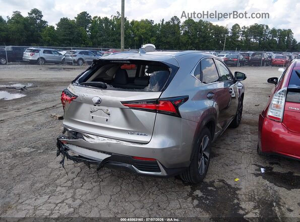 JTJBJRBZ2K2110638 2019 LEXUS NX 300H Серый Задняя правая четверть