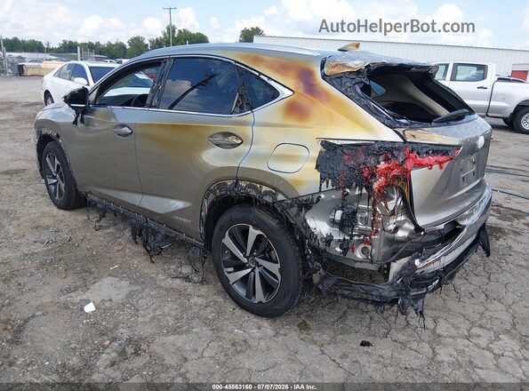 JTJBJRBZ2K2110638 2019 LEXUS NX 300H Серый Вид спереди