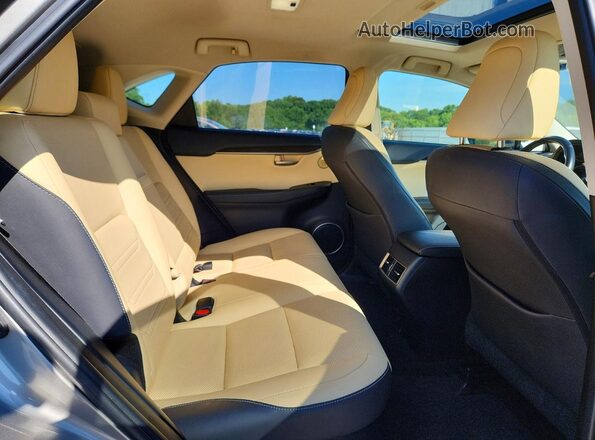 JTJBJRBZ6G2039418 2016 LEXUS NX Серебряный Вид задней части салона