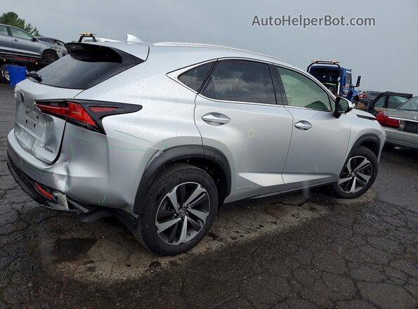 JTJBJRBZ6K2097490 2019 LEXUS NX Silver Trasero derecho