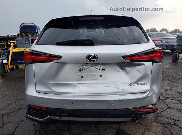 JTJBJRBZ6K2097490 2019 LEXUS NX Silver Vista trasera