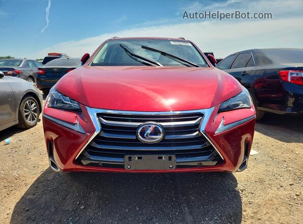JTJBJRBZ7G2036849 2016 LEXUS NX Red Դիմացի տեսք