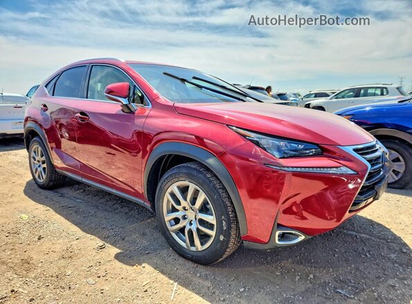 JTJBJRBZ7G2036849 2016 LEXUS NX Red Առջևի աջ