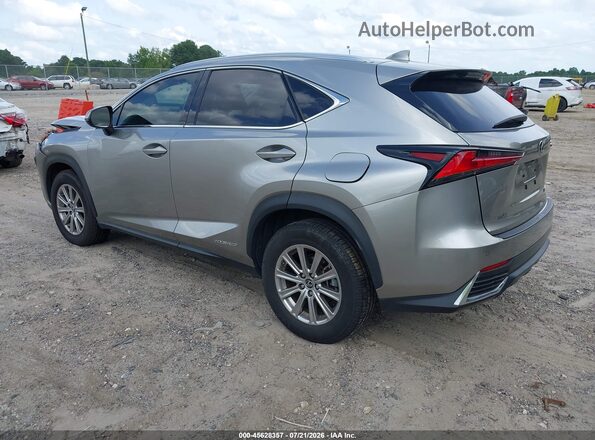 JTJBJRBZ8K2107324 2019 LEXUS NX 300H Pewter უკანა მარცხენა