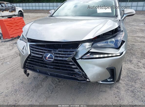 JTJBJRBZ8K2107324 2019 LEXUS NX 300H Pewter წინა ხედი